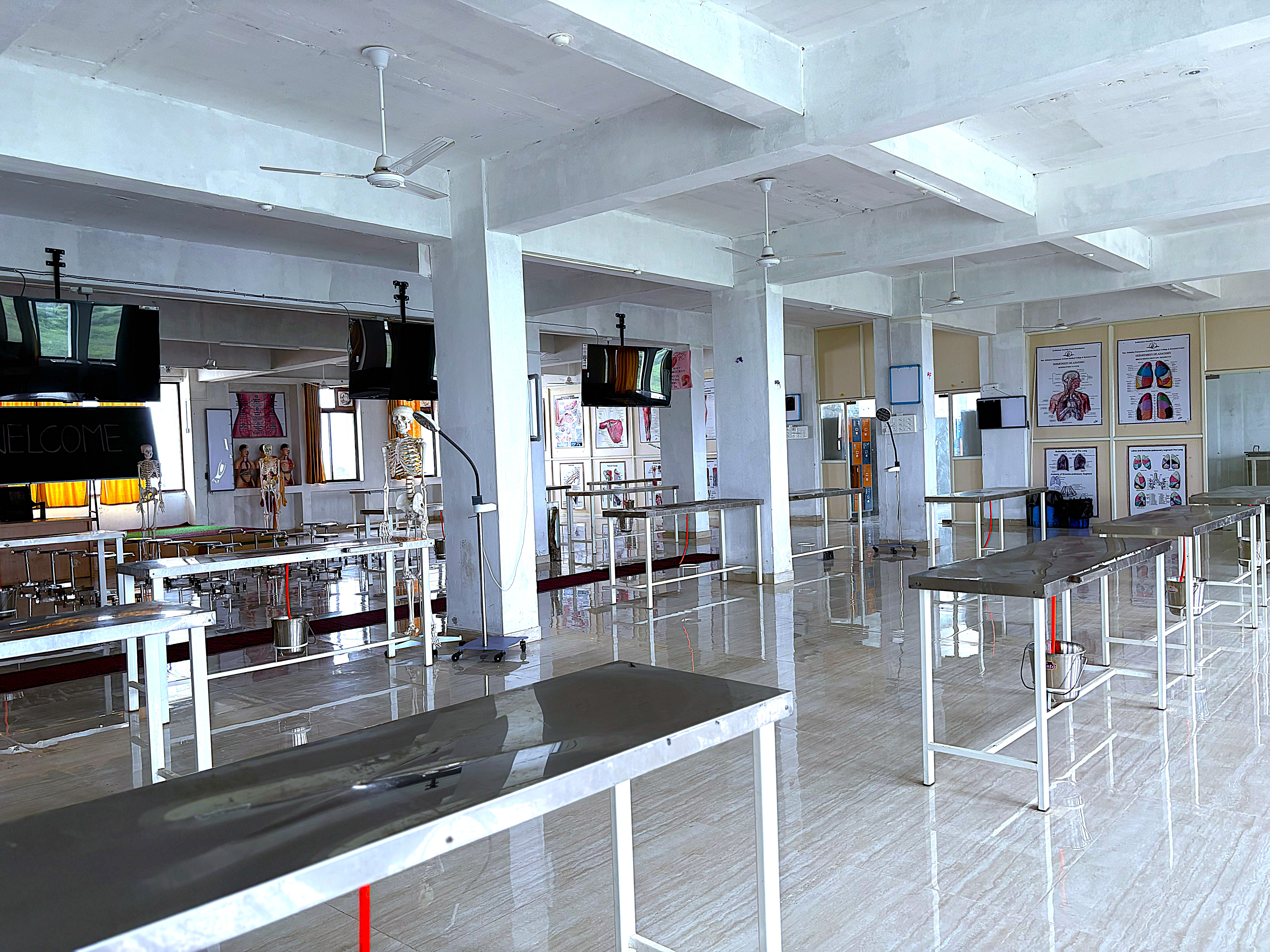 Anatomy Gallery
